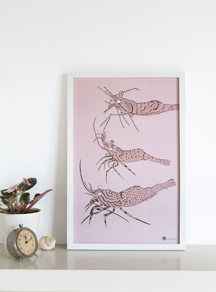 Collection d'affiches maritimes faune et flore marine du Saint-Laurent
