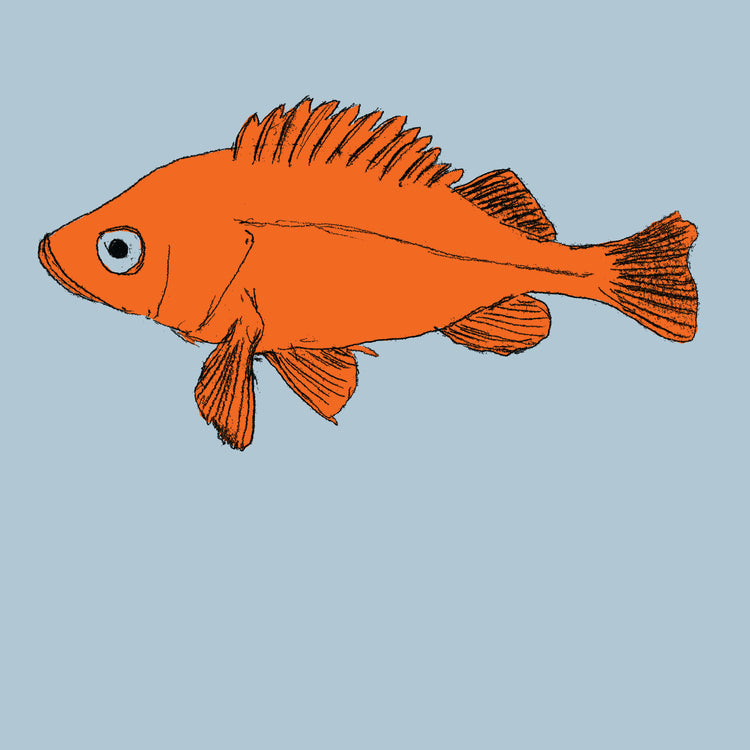 Poisson d'avril