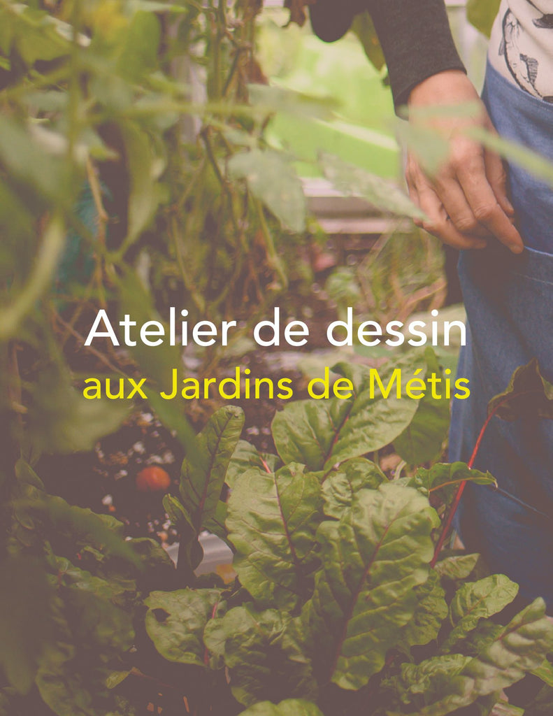 Atelier de dessin aux Jardins de Métis